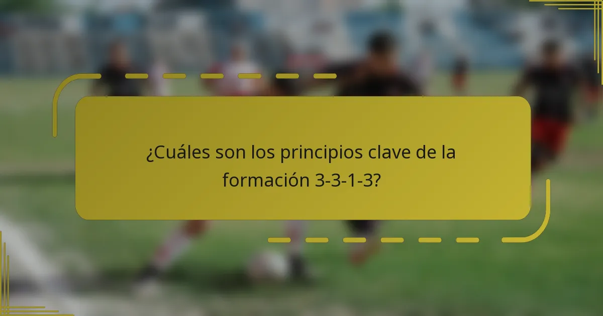 ¿Cuáles son los principios clave de la formación 3-3-1-3?